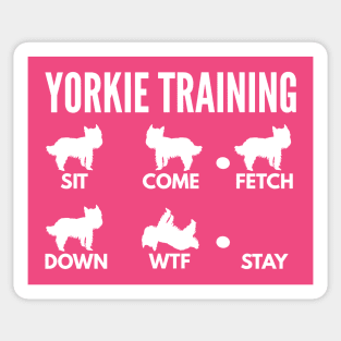 Yorkie Training Boxer Dog Tricks Sticker